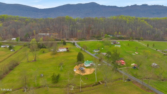 bird's eye view with a mountain view and a rural view