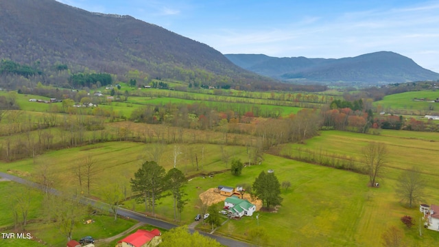 view of mountain feature with a rural view