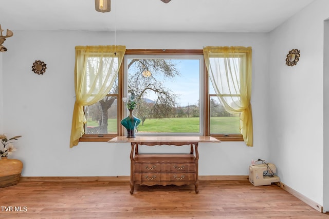 interior space featuring plenty of natural light and hardwood / wood-style flooring