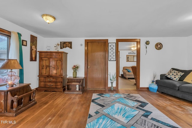 living room with hardwood / wood-style flooring