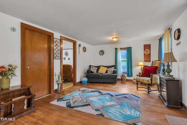 living room featuring wood-type flooring