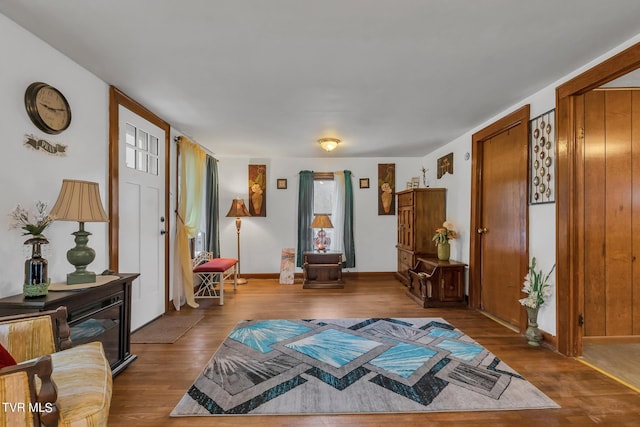 foyer with hardwood / wood-style flooring