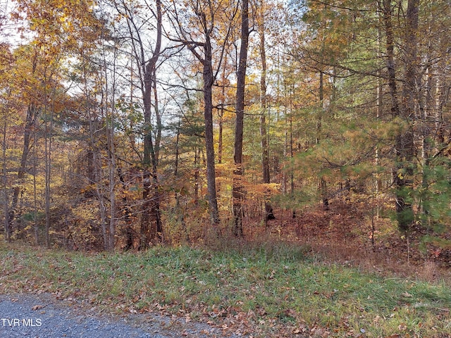 Listing photo 3 for LOT19 Sugar Maple Way, Del Rio TN 37727