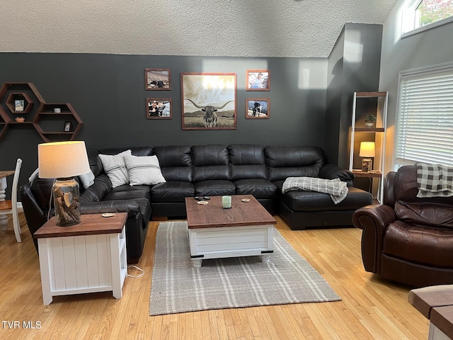 living room featuring a textured ceiling and light hardwood / wood-style floors