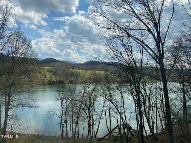 property view of water featuring a mountain view