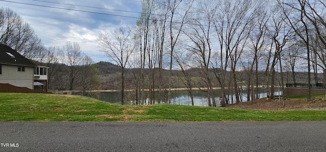 LOT20 Cornelius Dr, Abingdon VA, 24211 land for sale