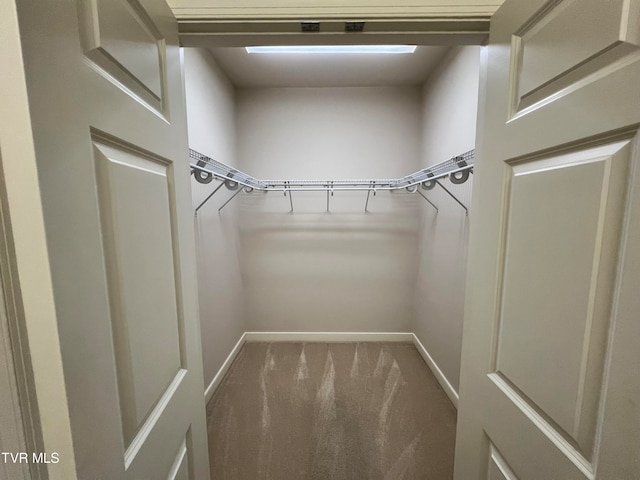 spacious closet featuring carpet floors