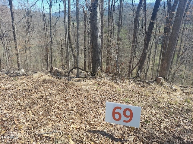 69 Golf Course Rd, Unicoi TN, 37692 land for sale