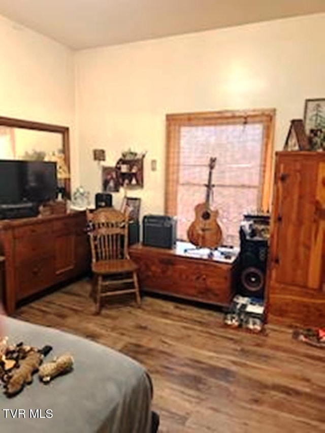 bedroom featuring dark hardwood / wood-style floors