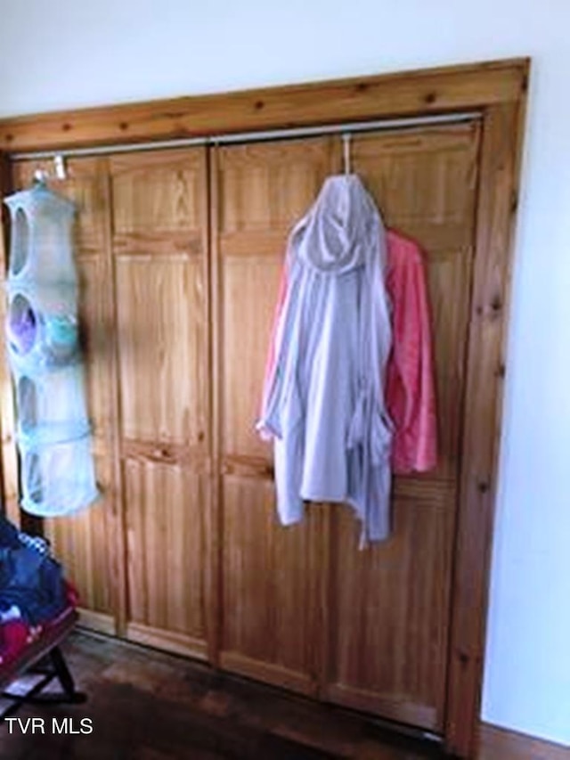 view of closet