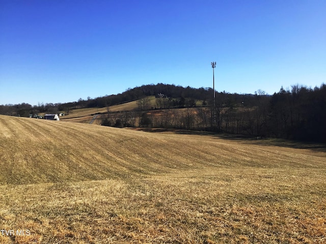 view of yard with a rural view