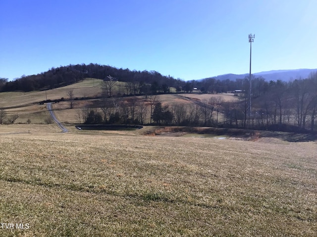 view of yard featuring a rural view