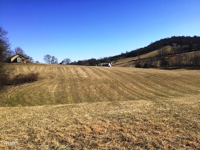 view of yard featuring a rural view