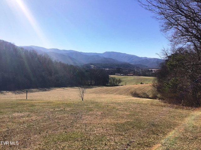 mountain view featuring a rural view