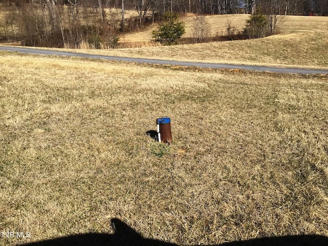 view of home's community featuring a rural view and a lawn