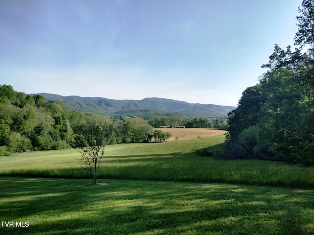 view of mountain feature