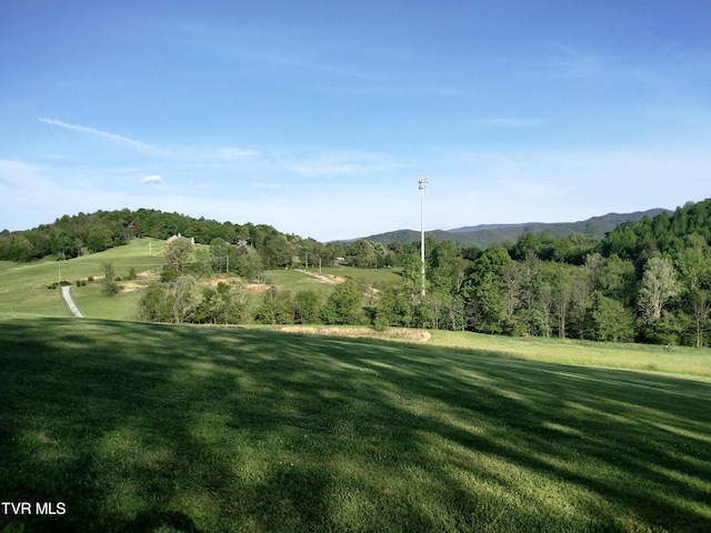 view of home's community with a yard