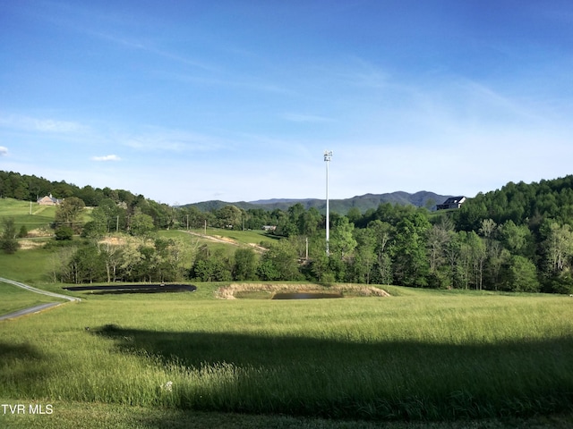 view of mountain view