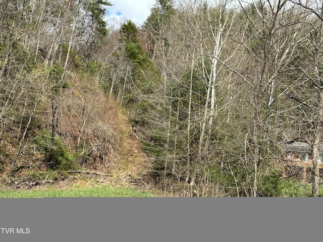 124 Tom Phillippi Rd, Mountain City, TN 37683 - photo 6