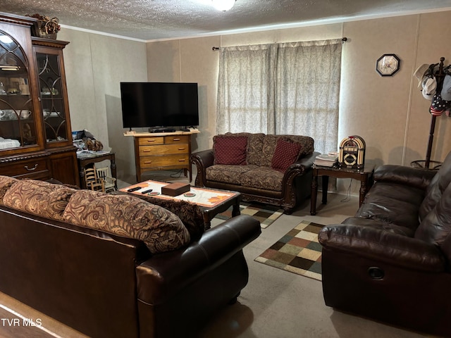 124 Tom Phillippi Rd, Mountain City, TN 37683 - photo 15