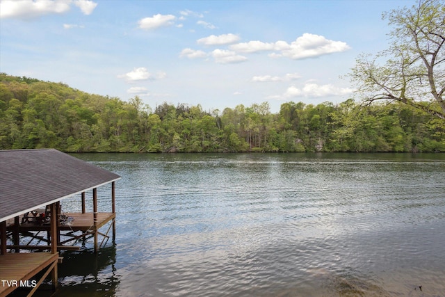 view of dock with a water view