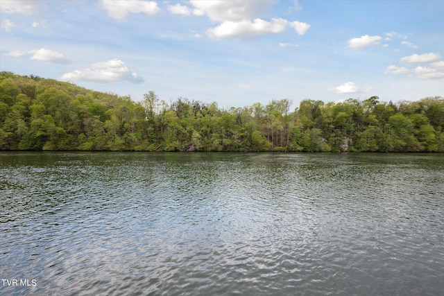 view of water view