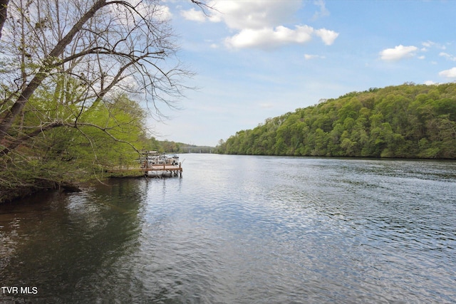 property view of water featuring a dock