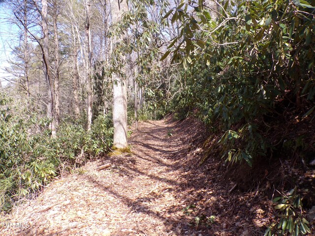 Tbd Highway 133, Shady Valley, TN 37688