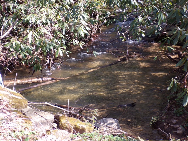 Tbd Highway 133, Shady Valley, TN 37688