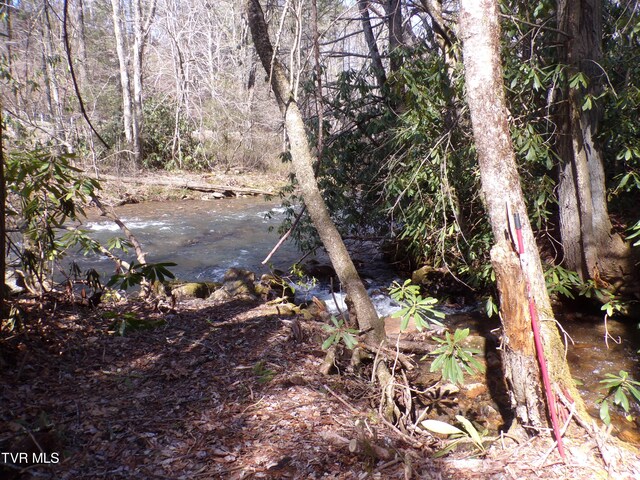 Tbd Highway 133, Shady Valley, TN 37688