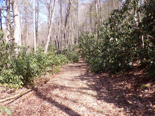 Tbd Highway 133, Shady Valley, TN 37688