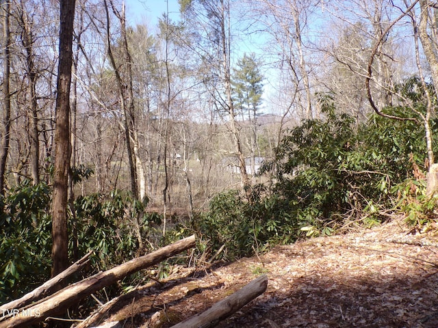 Tbd Highway 133, Shady Valley, TN 37688