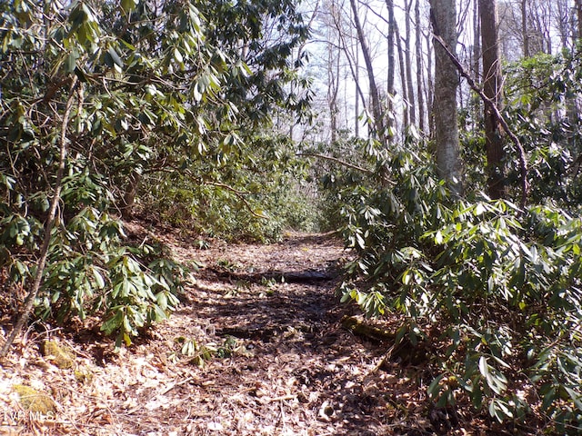 Tbd Highway 133, Shady Valley, TN 37688