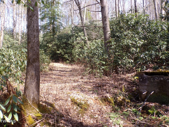 Tbd Highway 133, Shady Valley, TN 37688