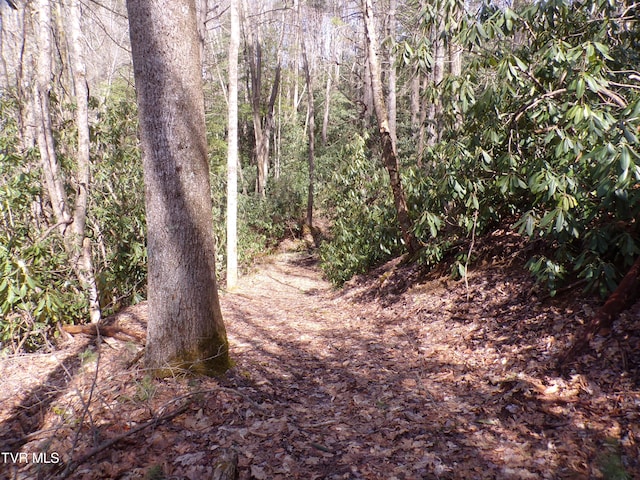 Tbd Highway 133, Shady Valley, TN 37688