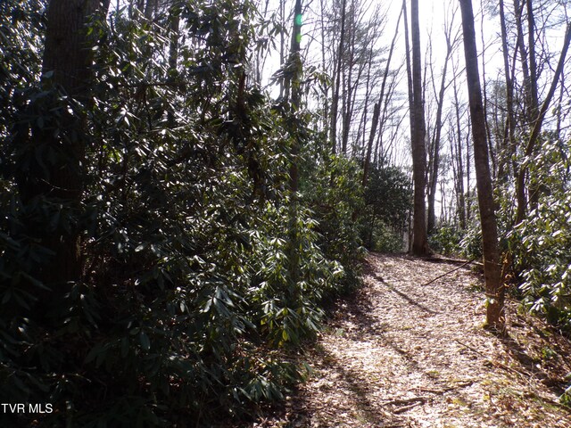Tbd Highway 133, Shady Valley, TN 37688