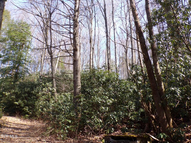 Tbd Highway 133, Shady Valley, TN 37688