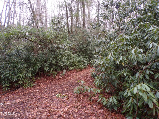 Tbd Highway 133, Shady Valley, TN 37688