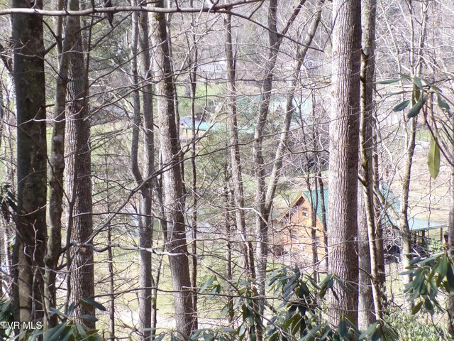 Tbd Highway 133, Shady Valley, TN 37688