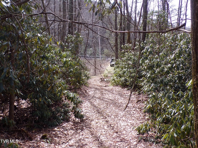 Tbd Highway 133, Shady Valley, TN 37688