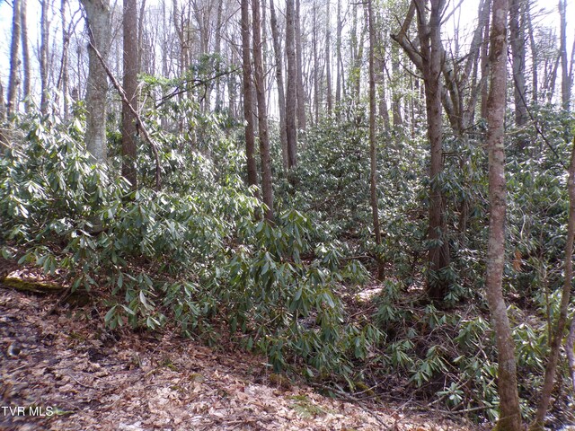 Tbd Highway 133, Shady Valley, TN 37688