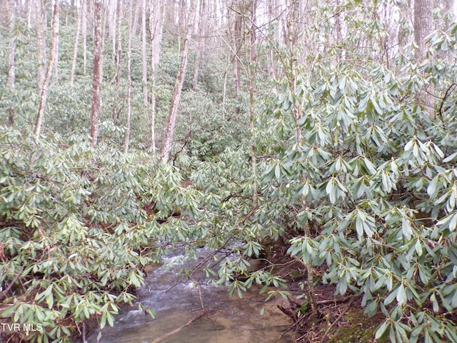 Tbd Highway 133, Shady Valley, TN 37688