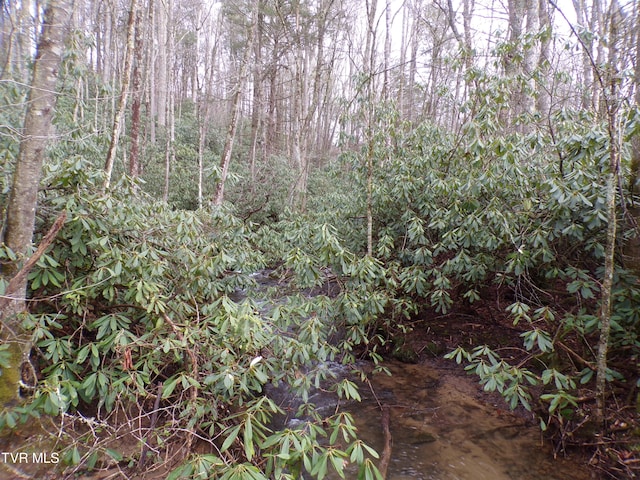 Tbd Highway 133, Shady Valley, TN 37688