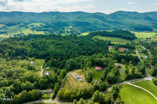 birds eye view of property with a mountain view