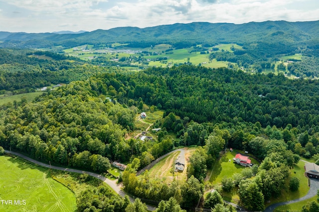 aerial view with a mountain view