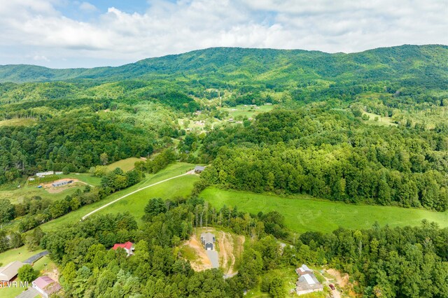 bird's eye view featuring a mountain view