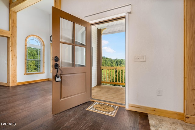 entrance foyer featuring dark hardwood / wood-style flooring