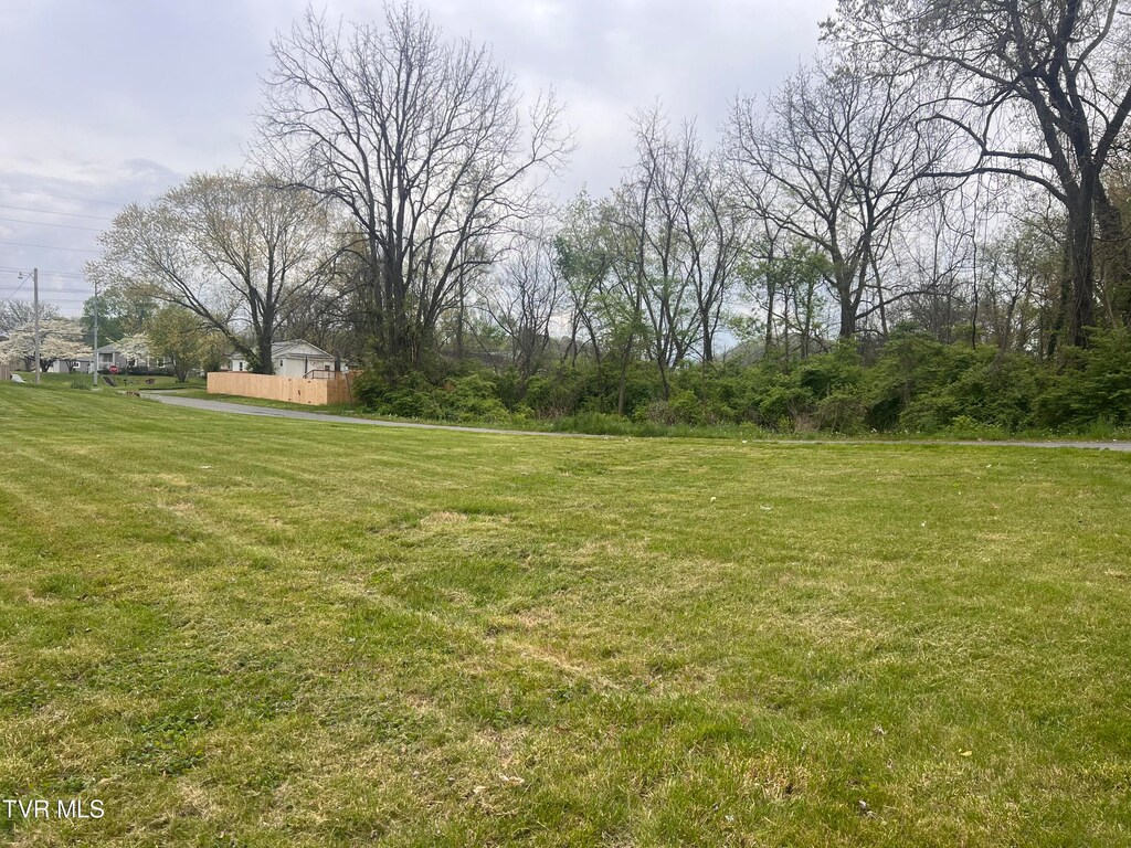 1804 E Myrtle Ave, Johnson City, TN 37601
