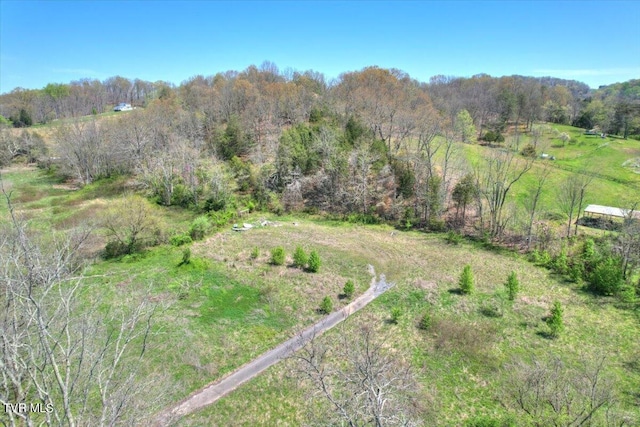 0 Mill Creek Rd, Kingsport TN, 37664 land for sale