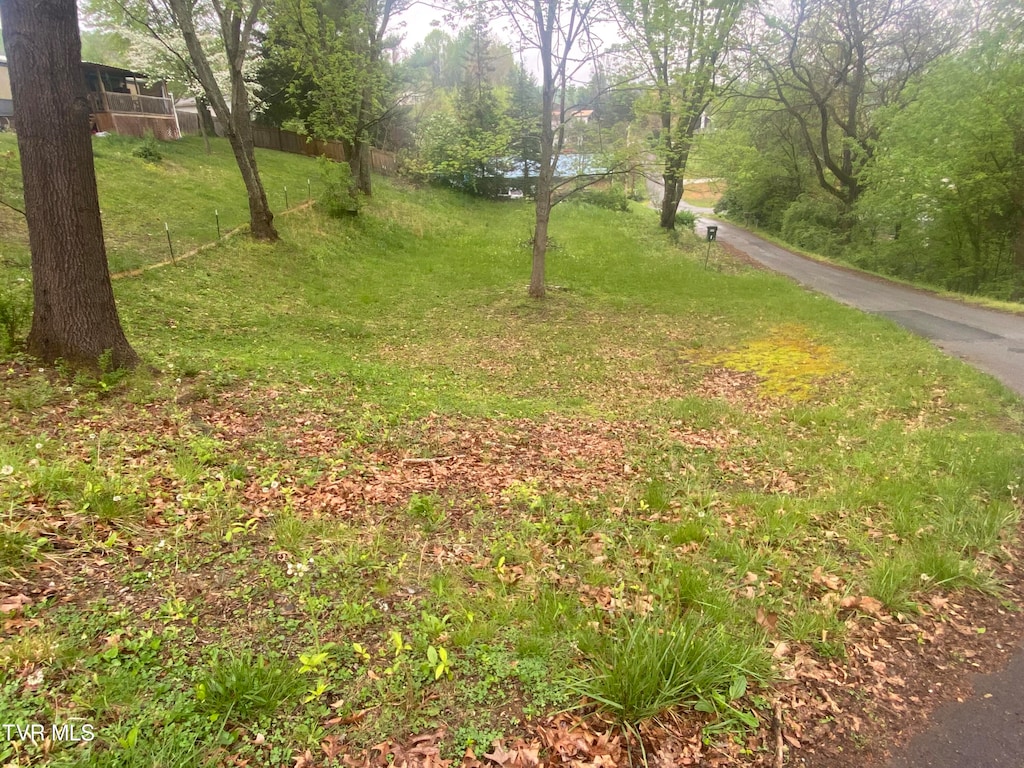 119 Massey St, Elizabethton, TN 37643